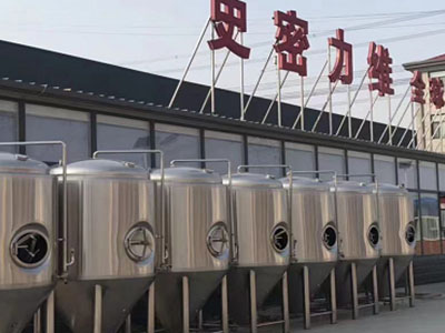 郊区精酿啤酒设备厂—如何判断精酿啤酒设备的密封件需要更换？